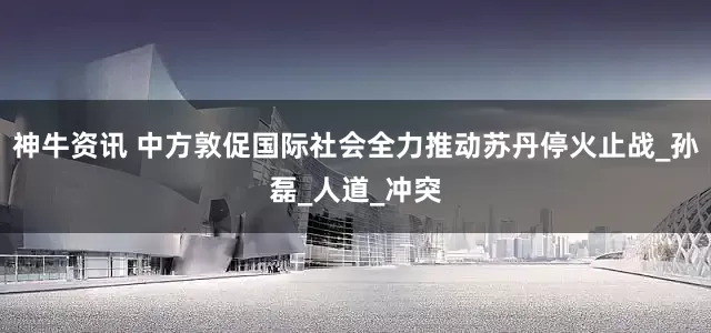 神牛资讯 中方敦促国际社会全力推动苏丹停火止战_孙磊_人道_冲突