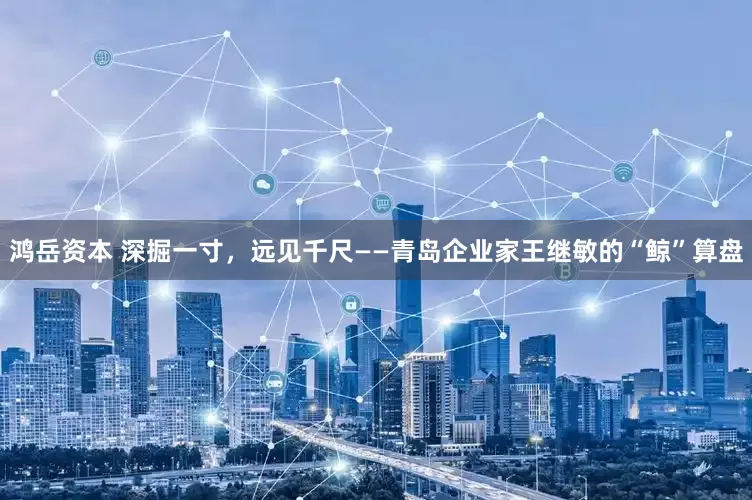 鸿岳资本 深掘一寸，远见千尺——青岛企业家王继敏的“鲸”算盘