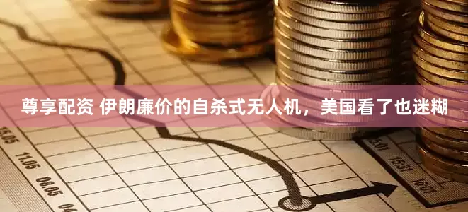 尊享配资 伊朗廉价的自杀式无人机，美国看了也迷糊